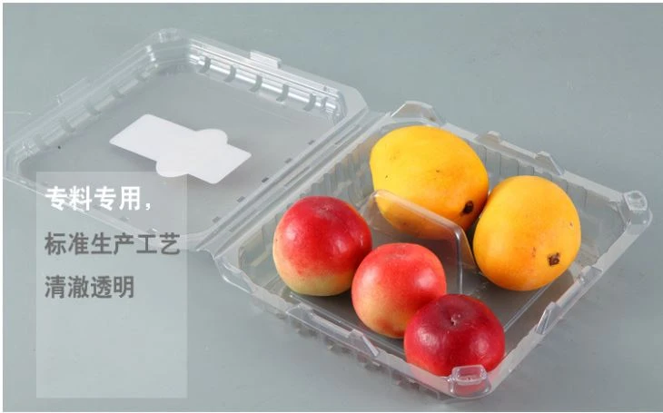 Sale Wholesale Food Packaging Disposable Plastic Fruit Box Take Out Container