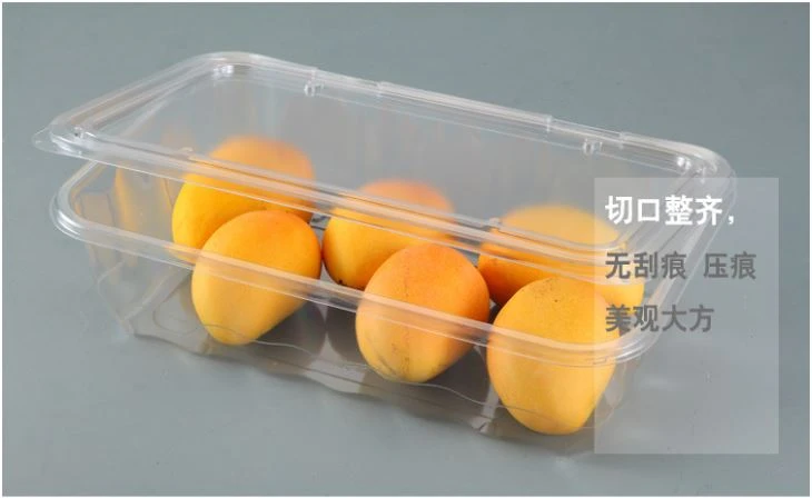 Sale Wholesale Food Packaging Disposable Plastic Fruit Box Take Out Container
