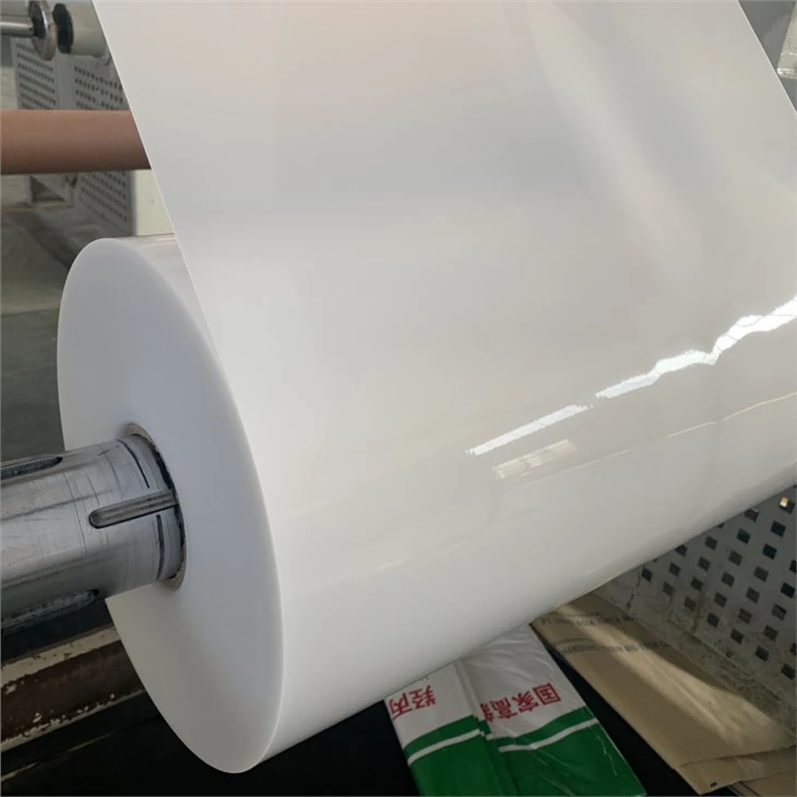 Translucent PP Plastic Roll